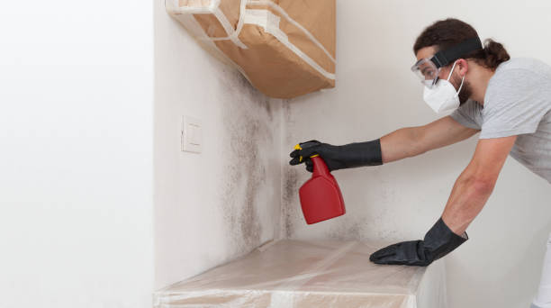 Professional Mold Testing technician working in Riverside, NY